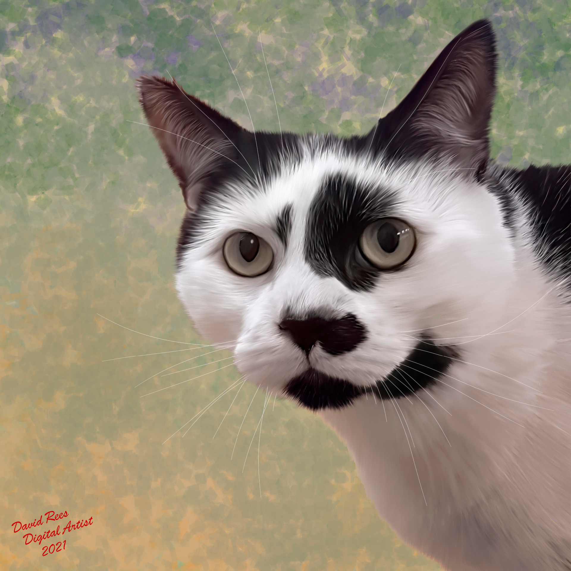 Paintings of cats, dogs and other household pets